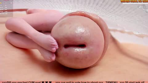 Petra online show from June 2026 06:32:02 PM