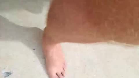 kramit1222 online show from September 2025 04:43:01 PM