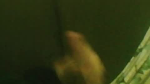 kren565656 online show from December 2024 01:34:02 AM