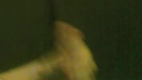 kren565656 online show from September 2025 10:06:01 AM