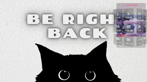   online show from February 2026 03:38:02 AM