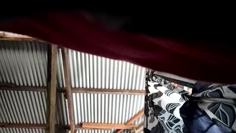 kylie online show from April 2026 12:16:02 AM