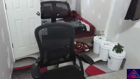 l1v1nth3dr3am online show from November 2025 09:41:01 AM