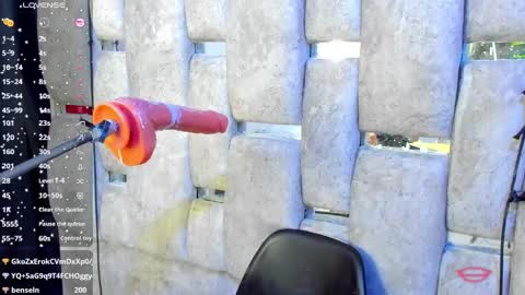 AMAZONA  online show from February 2025 10:58:01 PM