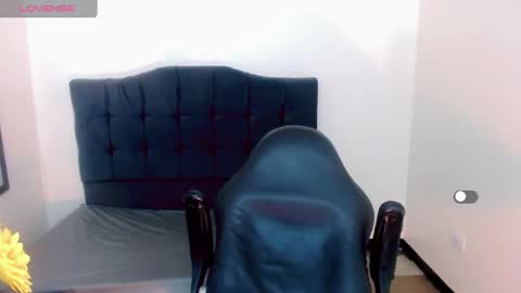 AriSaray online show from December 2024 01:08:01 AM