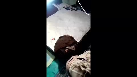 labestiareconoseme44420 online show from April 2026 07:53:01 AM