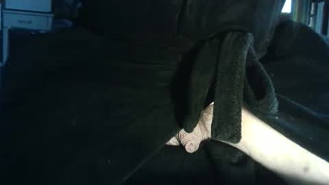 lacharcute online show from February 2026 10:41:02 AM