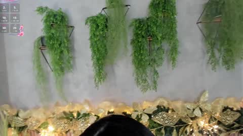 lana_lann online show from December 2024 12:34:01 PM