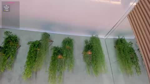 lana_lann online show from November 2025 12:04:01 PM