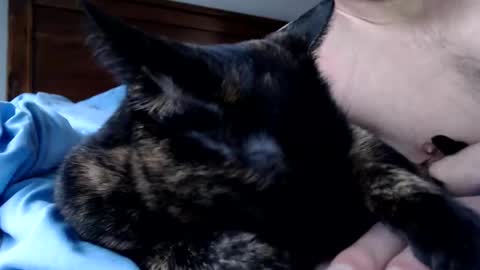 Lance online show from December 2025 04:12:02 PM