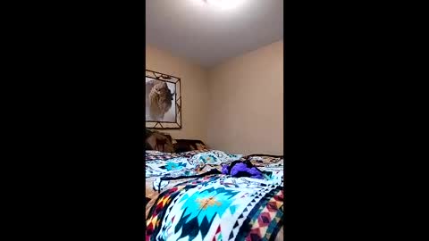 langederek2 online show from March 2026 08:58:02 PM