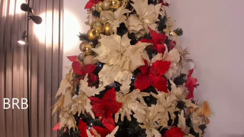 Snapshot of lanna_wilson chatting on December 2024 11:25:01 PM Tiana online show from December 2024 11:25:01 PM