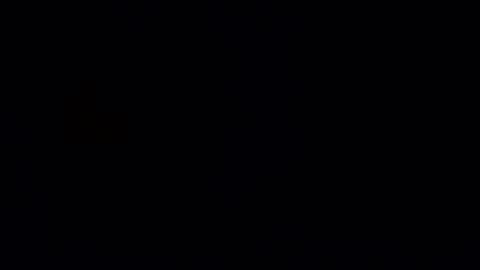 Little online show from January 2025 12:49:01 AM