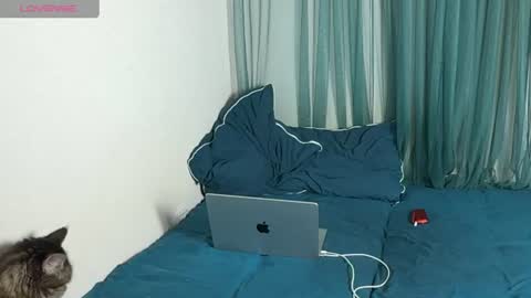 lasplagass online show from June 2026 05:56:02 PM