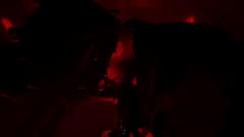 latex__buddy online show from March 2026 10:43:01 AM