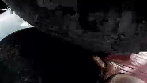 latexchris77 online show from April 2026 06:25:01 AM