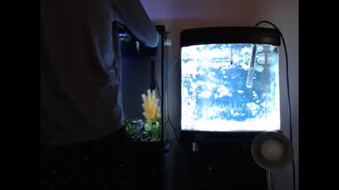 latinlover513 online show from January 2025 07:32:01 PM