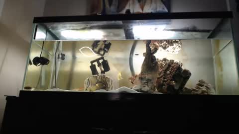 latinlover513 online show from March 2025 09:59:01 PM