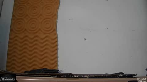 Nico online show from November 2025 06:08:01 PM