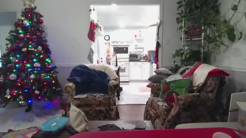 LauLauMa online show from December 2024 01:29:02 AM