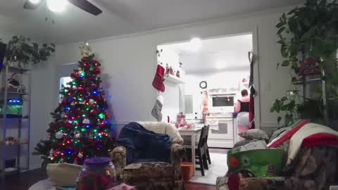 LauLauMa online show from December 2024 04:33:02 AM