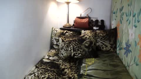 Belle online show from February 2025 08:13:02 AM