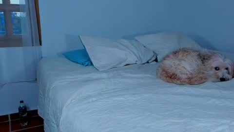 Lucie  online show from February 2025 10:42:01 PM