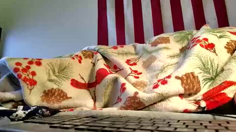 Snapshot of lawerenceingram46 chatting on October 2025 04:35:02 AM lawerenceingram46 online show from October 2025 04:35:02 AM