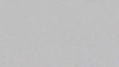 Layana online show from February 2026 06:48:01 PM