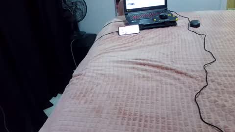Snapshot of laylabrasil chatting on February 2025 02:40:01 AM kelly online show from February 2025 02:40:01 AM