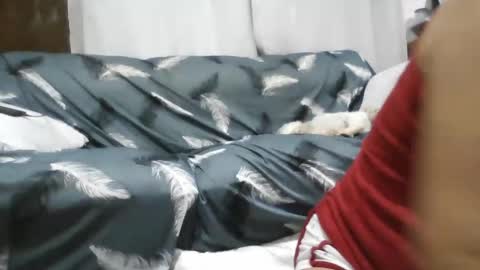 Snapshot of laylabrasil chatting on March 2025 03:19:01 AM kelly online show from March 2025 03:19:01 AM