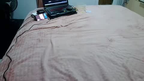 Snapshot of laylabrasil chatting on March 2025 02:50:01 AM kelly online show from March 2025 02:50:01 AM