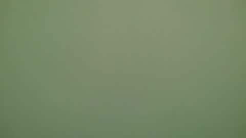 Michel online show from November 2025 06:32:01 PM