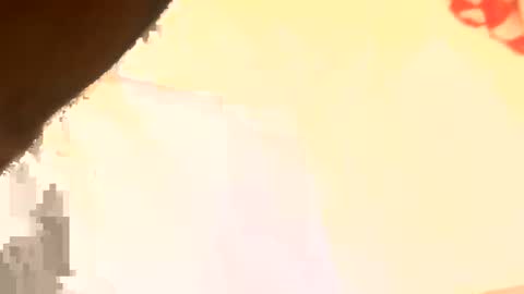 legal4 online show from March 2026 06:25:01 PM