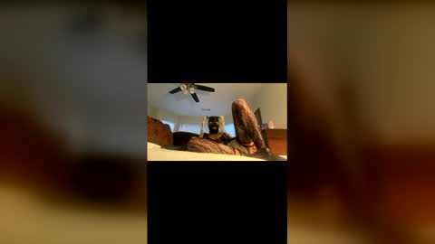 lelesmayone online show from May 2026 10:54:02 AM