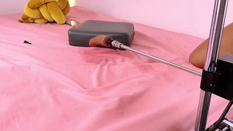 Lenaandwilliam online show from February 2026 08:13:02 PM