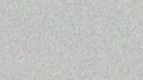 lenablooms online show from May 2026 02:39:01 AM