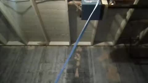 leo199984 online show from November 2025 03:39:02 AM