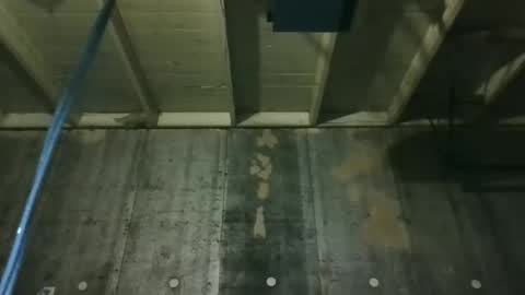 leo199984 online show from March 2026 01:31:02 AM