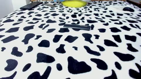 Leo online show from January 2025 05:15:01 PM