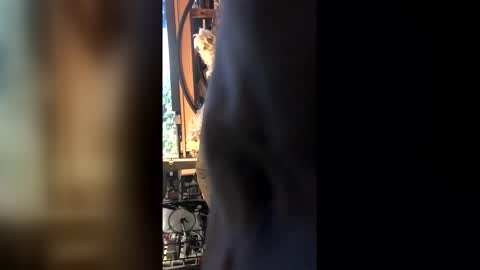 Snapshot of leongent chatting on February 2026 08:42:02 PM Leon online show from February 2026 08:42:02 PM