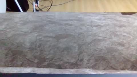 leopardking02 online show from December 2025 08:08:01 AM