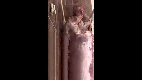 Rayne online show from December 2025 09:11:02 PM