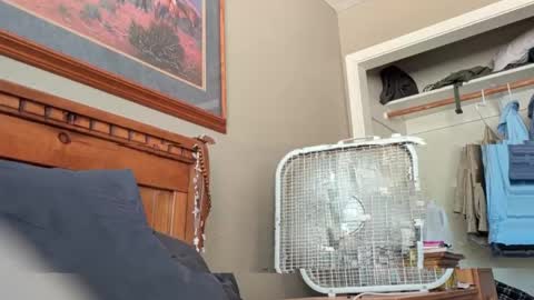 letsplayzs online show from June 2026 08:22:01 PM