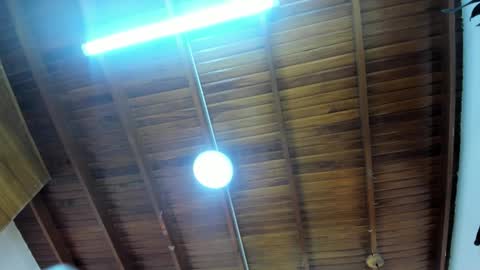 LevySteven online show from November 2025 03:28:01 AM