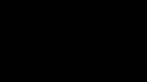 lewd palindrome online show from March 2025 07:32:02 AM