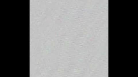 lewenzi online show from December 2024 07:58:02 PM