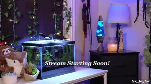 Lex online show from January 2025 03:04:02 AM