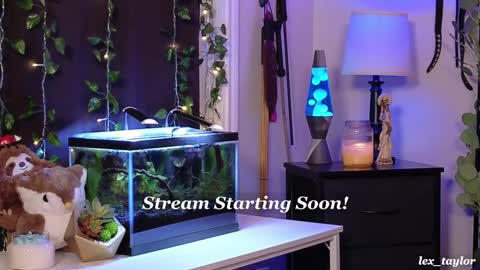 Lex online show from January 2025 03:22:01 AM