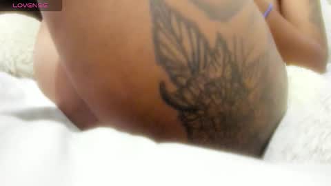 LEXXI online show from February 2026 04:14:02 PM